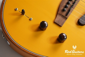 Acoustasonic Player Telecaster - Butterscotch Blonde